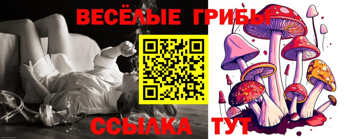 Зеленокумск  Галлюциногенные грибы мицелий  как найти закладки  Вход с VPN 