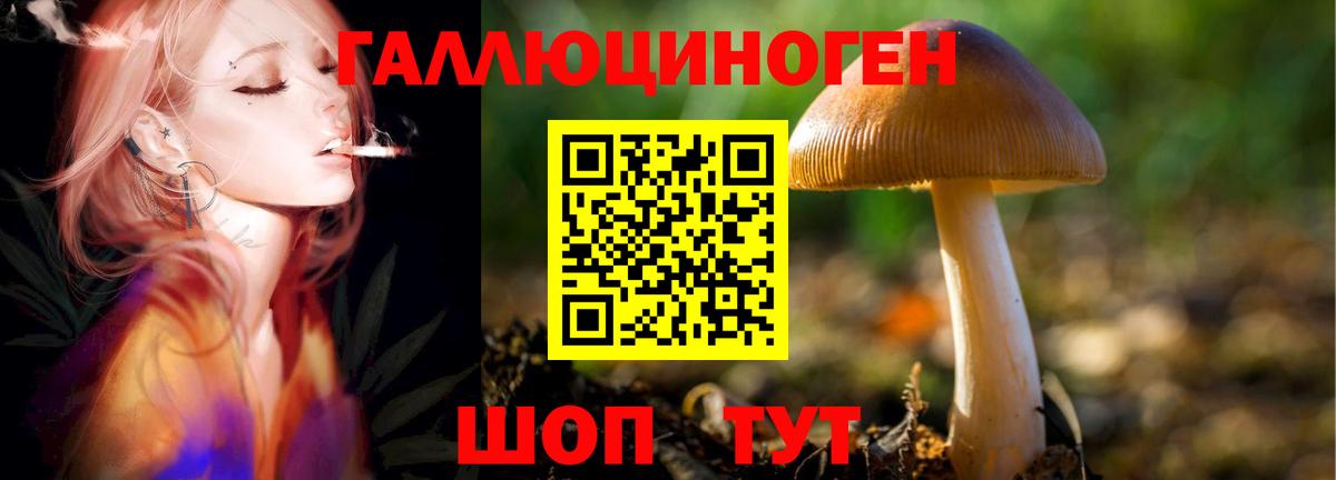 Галлюциногенные грибы Cubensis Зеленокумск